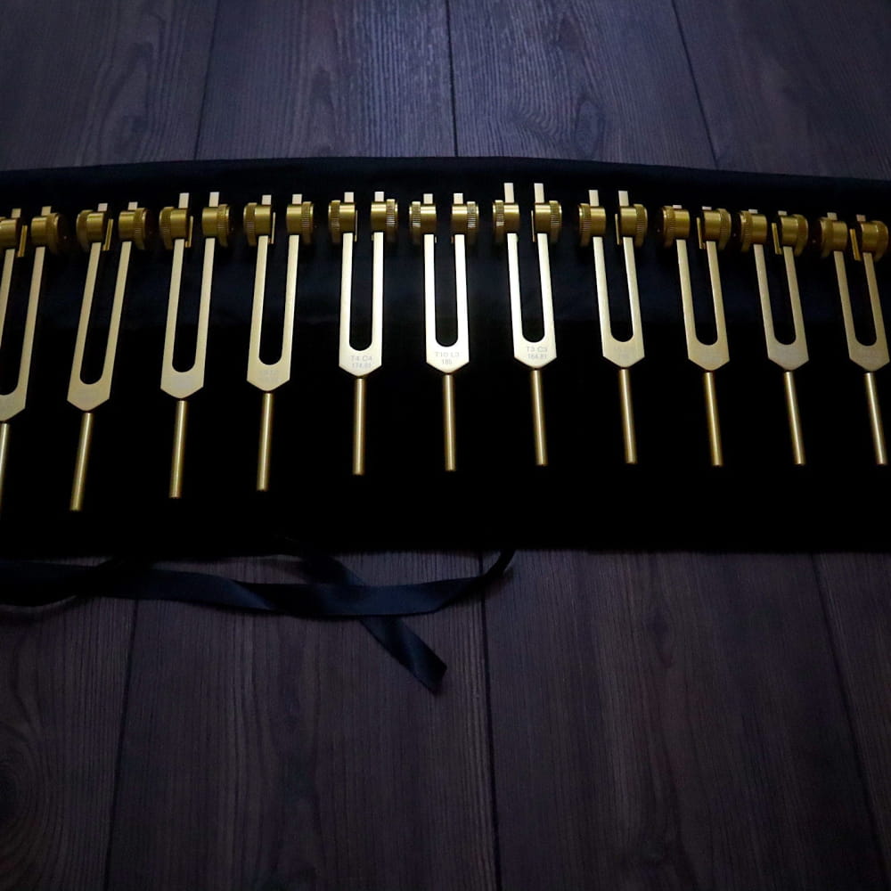 Collection of golden tuning forks on black fabric from the 12pc Song of the Spine set