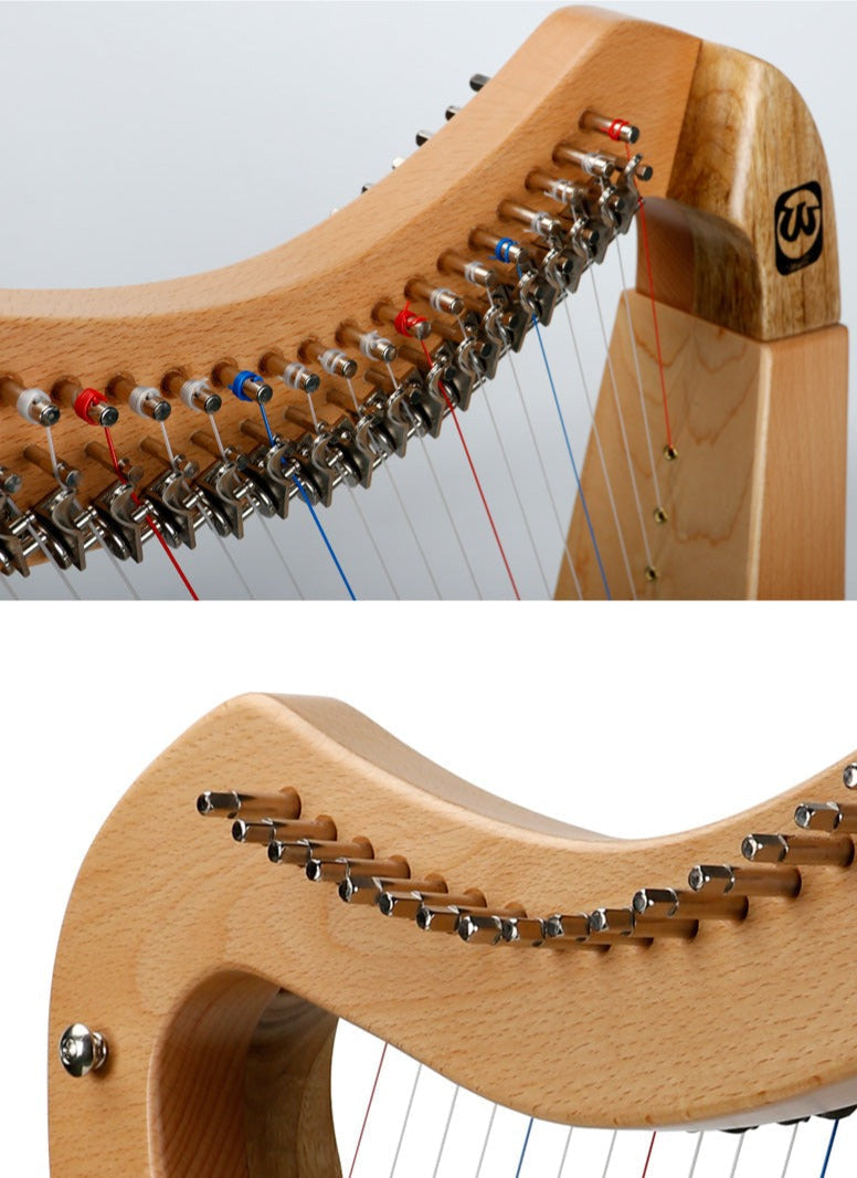 Wooden 19-String Irish Lyre Harp with metal tuning pegs and vibrant strings