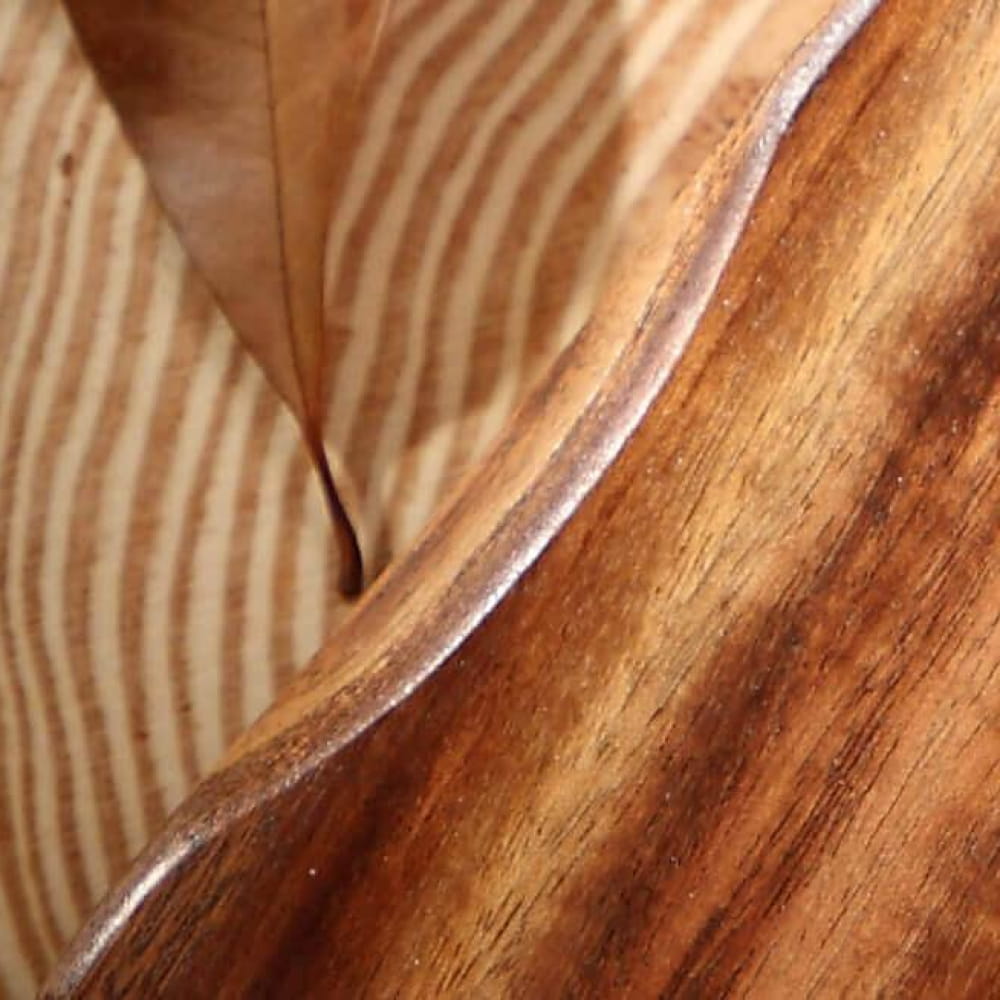 Curved Acacia wood surface with natural grain and growth rings on a thumb piano