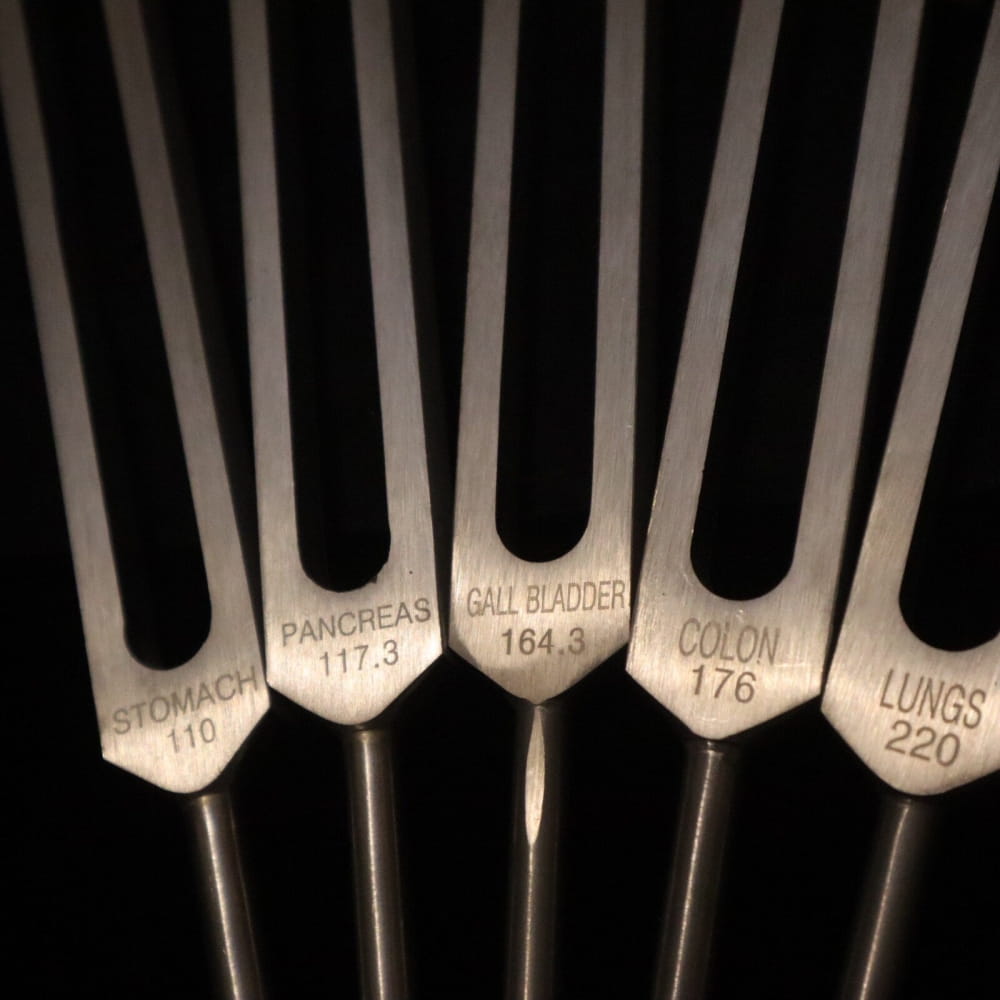 Medical tuning forks labeled with organ frequencies in a 24pc Solfeggio Tuning Fork Set