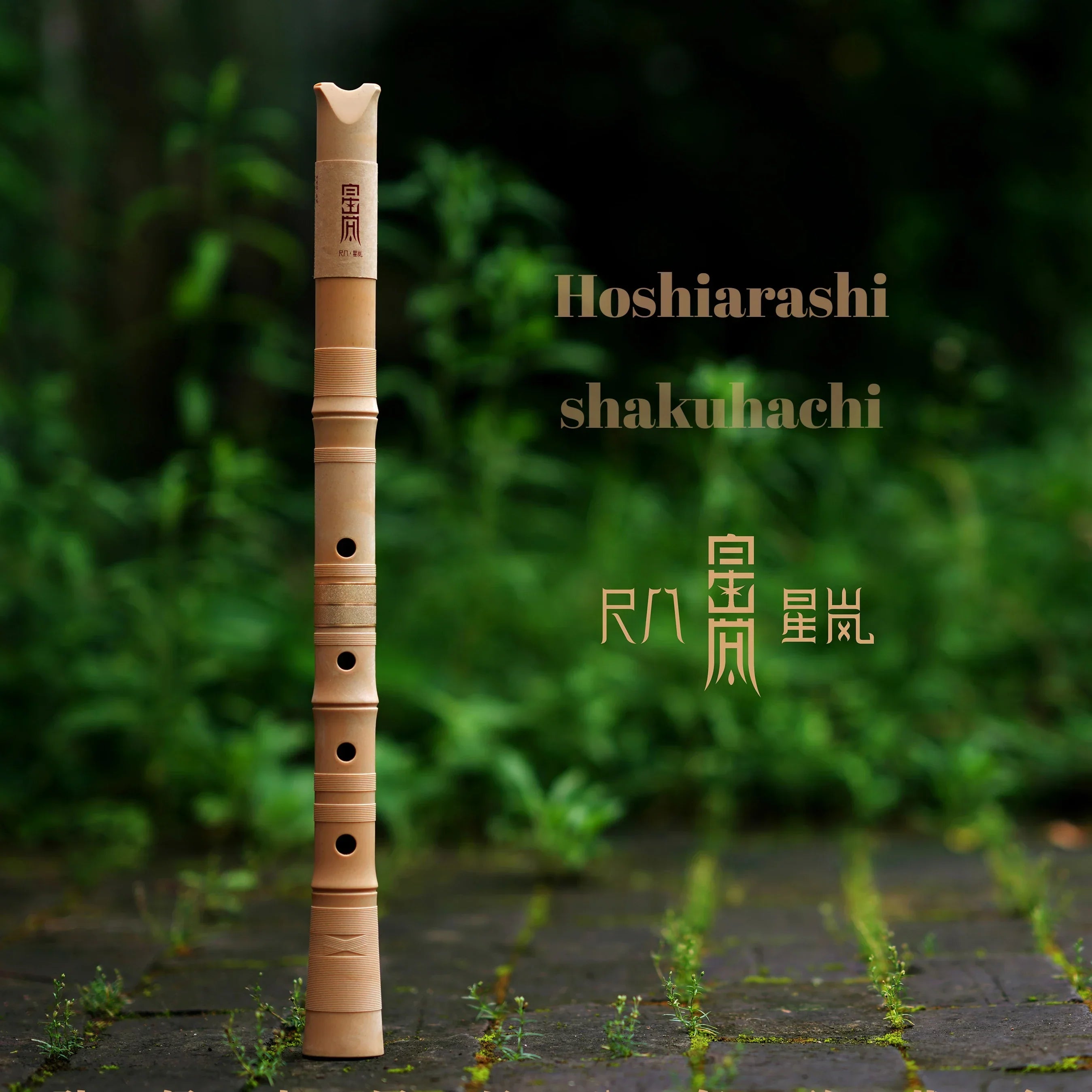 Shakuhachi-Japanese Resin Flute for Beginner, Japan Designed Musical Instrument, 1.8 D Key and the Bag