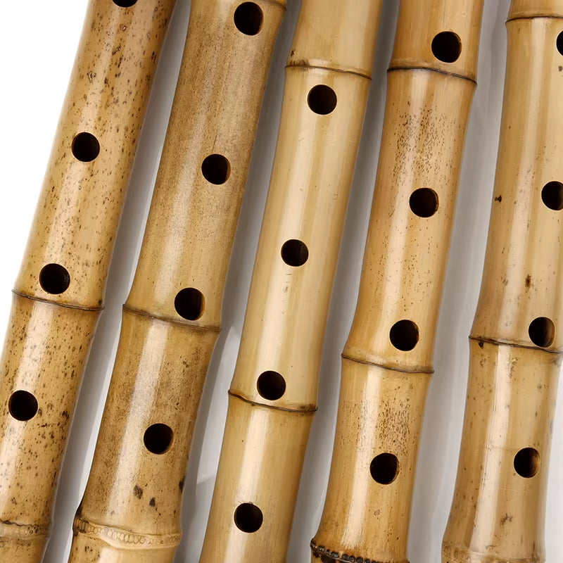Shakuhachi-Handmade Natural Bamboo Chinese Traditional Musical Instrument for Beginners, 1.8 D Key, Woodwind Flutes